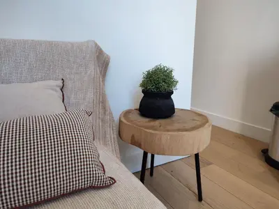 a plant sitting on a table next to a bed at Pearl Studio by Halldis in Cannes