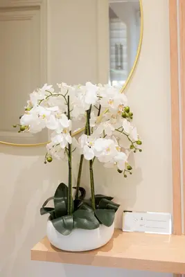 a white vase filled with white flowers on a table at Écrin de charme à 2 pas de la Croisette & Palais in Cannes
