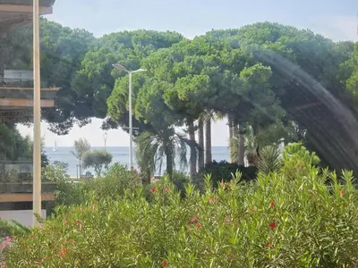 a water hose spraying a bunch of trees at 86m2, spacieux, 2 chambres, à 1 min de la plage in Cannes