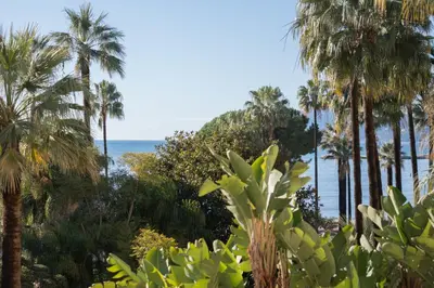 a view of the ocean through palm trees at REF 2042 - Cannes Croisette - Apartment for rent in Cannes