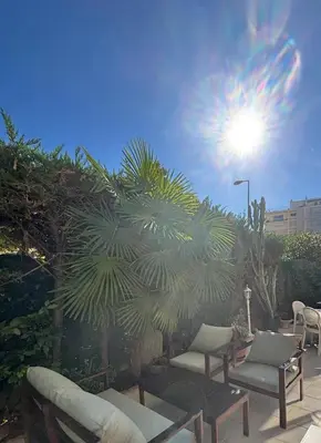 a patio with chairs and a palm tree and the sun at Appartement lumineux centre ville avec jardin in Cannes