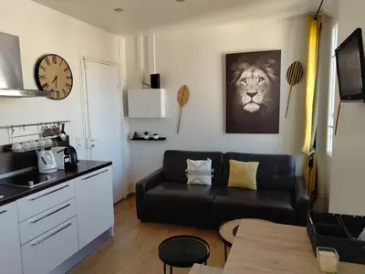 a living room with a couch and a lion picture on the wall at Studio lumineux, Centre ville, Palais Festivals in Cannes