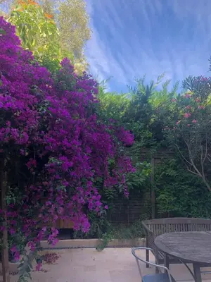 a bush with purple flowers next to a table at Sentez-vous comme à la maison près du palais in Cannes