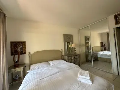 a bedroom with a large bed and a mirror at Congress et Comfort in Cannes