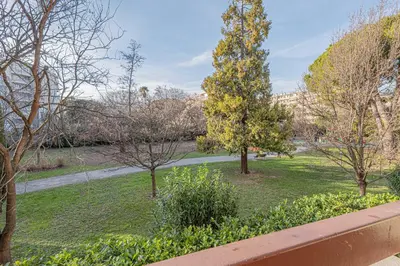 a view of a park with trees and grass at Studio avec balcon et parking proche plages in Cannes