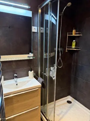 a bathroom with a shower and a sink at Art apart studio Rouaze in Cannes