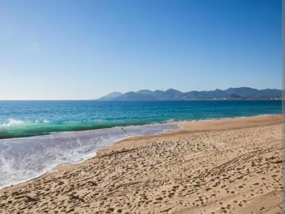 a group of birds standing on a beach at Cannes, garden level, pool, nearby beaches in Cannes
