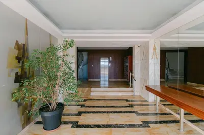 a hallway with a potted plant on a tile floor at Le Venus in Cannes
