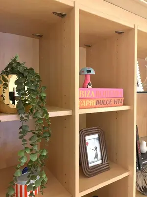 a shelf with a plant and a tv in it at Wiosna- Quiet 1 Bedroom in Cannes