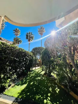 a view of a garden with palm trees at Sea Cocoon La Bocca in Cannes