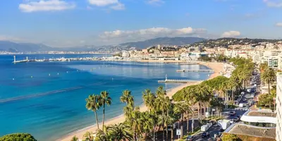 a view of a beach with palm trees and buildings at My Studio in Center of Cannes in Cannes
