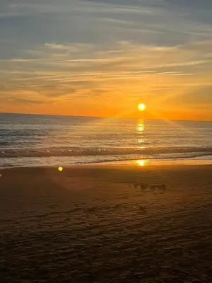 a sunset on the beach with dogs walking on the sand at Luxury Cannes Suite Terrace Walk to Palais in Cannes