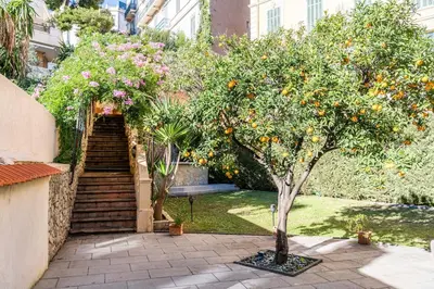 an orange tree in a yard with a staircase at Private Garden 3-Bed in Cannes in Cannes