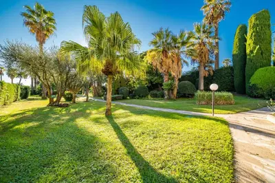 a palm tree in the middle of a lawn at KEM15 Appartement avec vue mer in Cannes