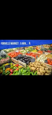 a display of different types of fruits and vegetables at Cannes hyper centre -palais du festival -croisette -quartier historique du suquet in Cannes