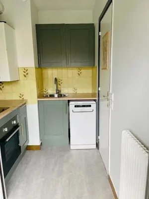 a small kitchen with green cabinets and a white dishwasher at Charmant studio en centre ville in Le Cannet