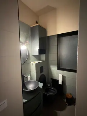 a small bathroom with a toilet and a sink at Superbe Appartement 2 pièces - 39m2 in Cannes