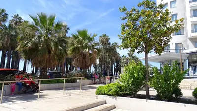 a group of palm trees next to a building at Appartement Loft Cannes in Cannes