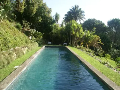 a pool with blue water in a yard with palm trees at Scenic villa in Cannes with private pool in Cannes