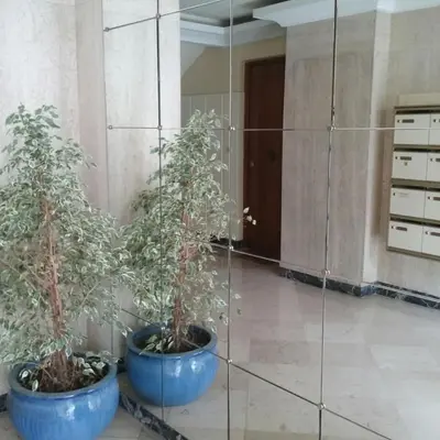 two plants in blue pots in a room with a mirror at Grand Studio Terrasse Proche Palais des Festivals in Cannes