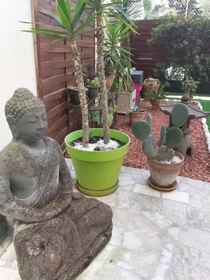 a statue of a buddha in a garden with potted plants at Grand Studio Terrasse Proche Palais des Festivals in Cannes