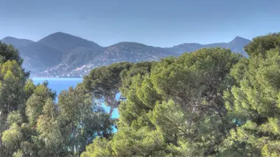 a view of a lake in the middle of a forest at Beau 2 pièces 3 étoiles Vue Mer Garage Privé 150m plages wifi in Cannes