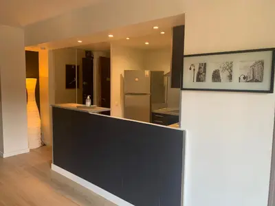 a kitchen with a black counter and a refrigerator at APPART' CANNES in Cannes