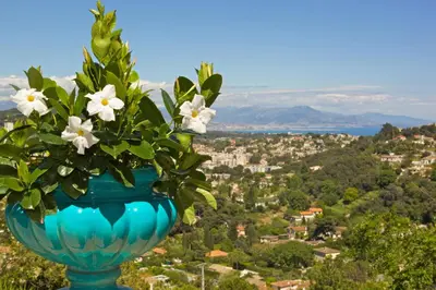 a blue vase filled with white flowers on top of a city at Villa Le Port d'attache in Vallauris