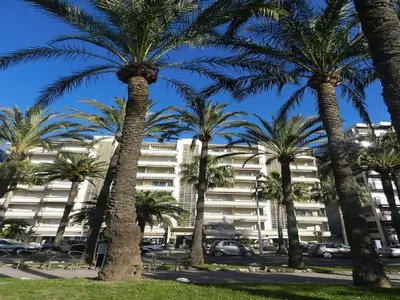 a group of palm trees in front of a building at Ô Béatrice Croisette in Cannes