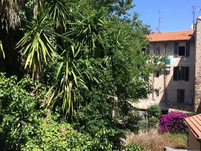 a large palm tree in front of a building at Suquet Charm in Cannes