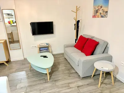 a living room with a couch and a tv at Appartement Le Suquet proche Croisette in Cannes