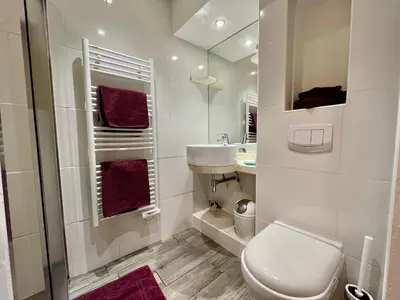 a bathroom with a toilet and a sink and a mirror at Appartement Le Suquet proche Croisette in Cannes