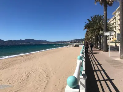 a beach with palm trees and the ocean at Appartement Le Suquet proche Croisette in Cannes