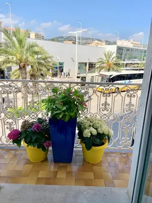 three potted plants are sitting on a balcony at Hotel Amiraute in Cannes