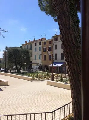 a view of a courtyard with buildings and a tree at Palme d'hote in Cannes
