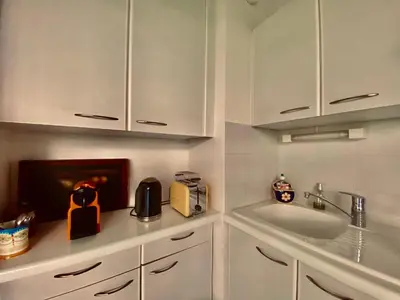 a kitchen with white cabinets and a sink and a fireplace at Un Coin de Paradis in Cannes