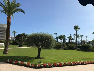 a park with a palm tree and flowers at Appartement Cannes sur Croisette in Cannes