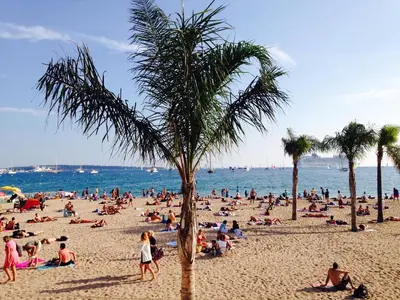 a crowd of people on a beach with a palm tree at Appartement Cannes sur Croisette in Cannes