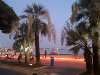 a group of palm trees on a beach at night at Appartement Cannes sur Croisette in Cannes