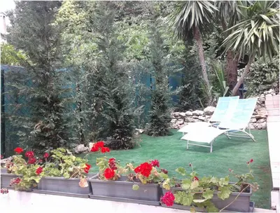a patio with a chair and red flowers and a yard at Un coin de campagne en ville in Le Cannet