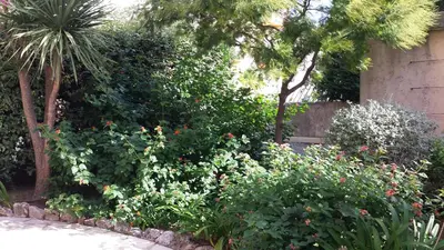 a garden with flowers and plants next to a building at Central avec Jardin in Cannes