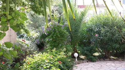 a garden with many different plants and flowers at Central avec Jardin in Cannes