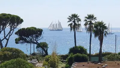a group of sailboats in the water with palm trees at Sea Side apartment in Cannes