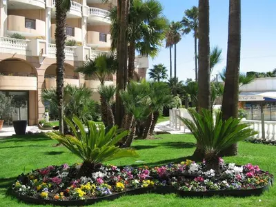 a garden in front of a building with palm trees at Cannes Front Beach Pools Apartment in Cannes