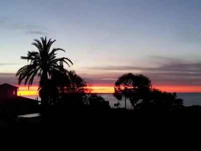 a sunset with a palm tree and the ocean at Villa Belle Rive in Cannes