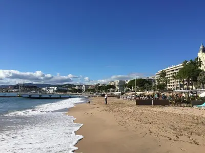a person walking a dog on a beach at Cannes Film Festival Beach Apartment in Cannes