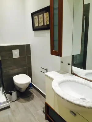 a bathroom with a toilet and a sink and a mirror at CANNES FESTIVALS b in Cannes