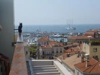 a bird sitting on top of a building at Résidence Le Président - Forville in Cannes