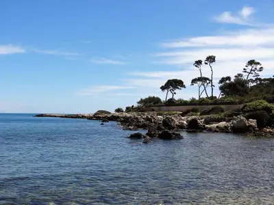 a body of water with trees on the shore at VUE MER - Appartement T2 in Cannes