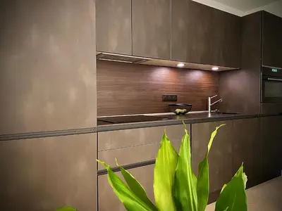 a kitchen with stainless steel cabinets and a plant at Grand 2 pieces Gray d'Albion in Cannes